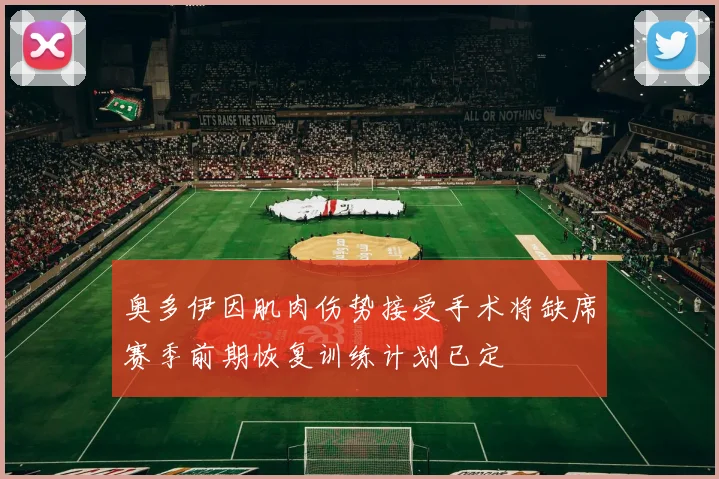 奥多伊因肌肉伤势接受手术将缺席赛季前期恢复训练计划已定