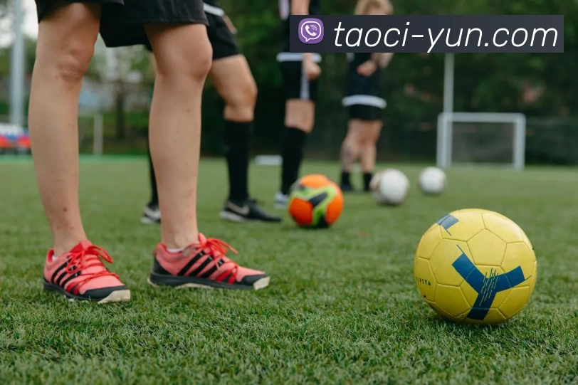 ts米兰官网入口全站App